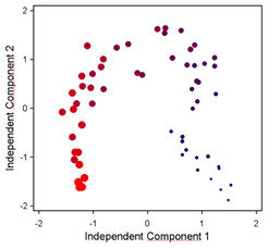 Time series data from metabolite profiling experiments or kinetic flux analyses can be easily visualized and explored using independent component analysis. Size and colour represent the progression of time in this example.