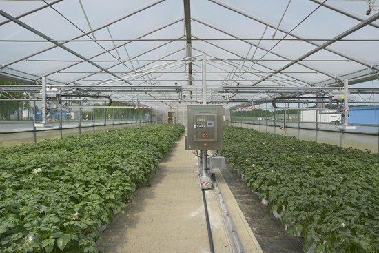 <p><strong>Fig. 2</strong>: Autonomous laser imaging of a segregating potato population under control and drought conditions.</p>