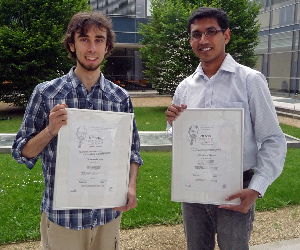 Dr. Francesco Licausi (links) untersuchte, wie Pflanzen den Sauerstoffgehalt der Umgebung messen. Sein Kollege Dr. Arun Sampathkumar (rechts) forschte an der Herstellung von pflanzlichen Zellwänden.
