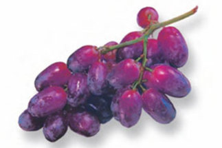 Ask the Grape