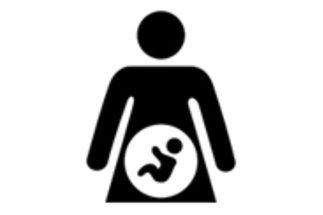 Schwangerschft - rechtliche Rahmenbedingungen