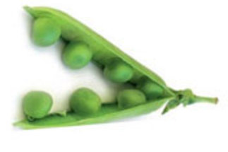 Ask the Pea