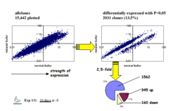 Scatterplots of gene expression of the ratio -/+ S