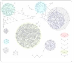 Co-expression network between polyphenol metabolism and light signalling related genes. Co-expression data obtained from a co-expression database generated by ~1,400 of Affymetrix ATH1 microarrays was used in the construction of a co-expression network. Each node represents polyphenol metabolism (blue) and light signaling related genes (yellow).