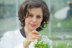Dr. Salma Balazadeh