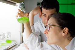 "A detailed understanding of plant growth represents one of the greatest challenges in plant physiology. The institute is very well prepared to accomplish this challenge." (Prof. Dr. Lothar Willmitzer)