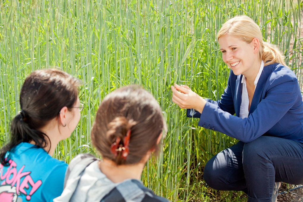 Jeden Sommer lädt das Institut zu Komm-ins-Beet-Führungen ein