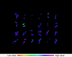 Treatment of Arabidopsis seedlings with a chemical library leads to the identification of one chemical, which represses photosynthetic electron transport, detectable by Chlorophyll-a fluorescence measurements.