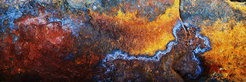 Tier – blau aus dem Jahr 2014 aus der Serie Rust Never Sleeps 80 x 40 Fine Art Print
