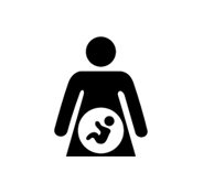 <p><strong>Pregnancy: Legal Framework</strong></p>
<p><strong> </strong></p>