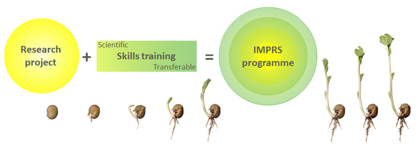 Doctoral Training within IMPRS-PMPG