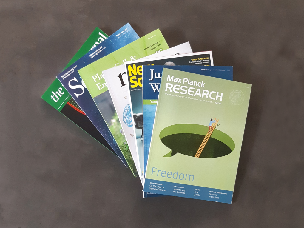 Publications of the Group