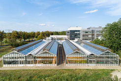 The glass greenhouse of the MPI-MP offers a total cultivation area of 1000 m2.