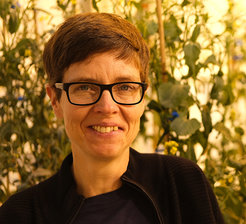 Prof. Dr. Claudia Köhler
