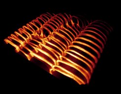 Visualization of cell walls of the plant vascular system, which wind around the cells in filigree band and spiral patterns.