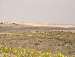 Grenze zwischen Israel (Vordergrund) und Ägypten. Während auf der israelischen Seite der Negev-Wüste im Frühling Blumen blühen, ist der ägyptische Teil weitgehend vegetationslos und von Sand bedeckt – eine Folge der Zerstörung der Bodenkruste durch Fahrzeuge und Überweidung.