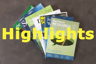 Research Highlights
