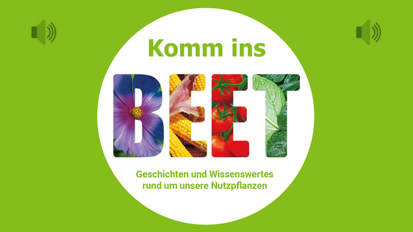 „Komm ins Beet - Geschichten und Wissenswertes rund um unsere Nutzpflanzen“ 
