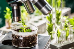 Bayer übernimmt Targenomix