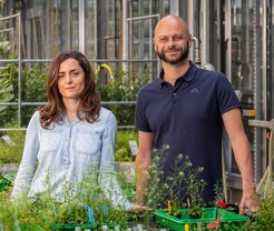 Marion Clavel und Marco Incarbone