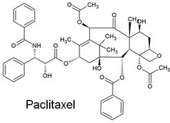 Paclitaxel