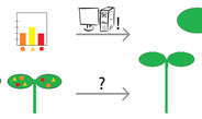 Metabolitenprofiling